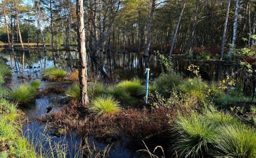 KliMo Lichtenmoor GEOS G.E.O.S. Klimaschutz Moorentwicklung Grundwassermonitoring