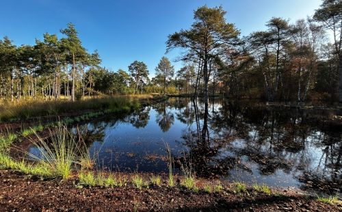 KliMo Lichtenmoor GEOS G.E.O.S. Klimaschutz Moorentwicklung Grundwassermonitoring