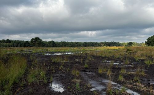 KliMo Lichtenmoor GEOS G.E.O.S. Klimaschutz Moorentwicklung Grundwassermonitoring